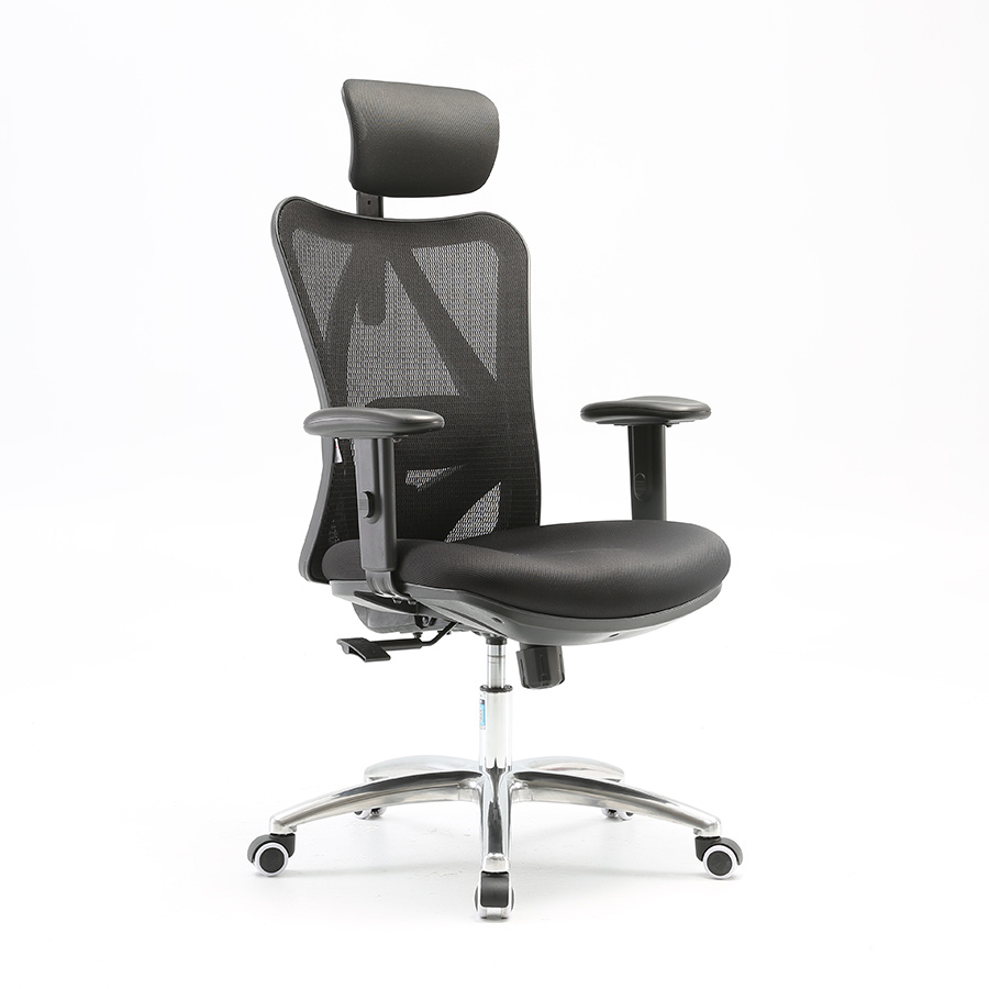 Ghế công thái học Sihoo M18