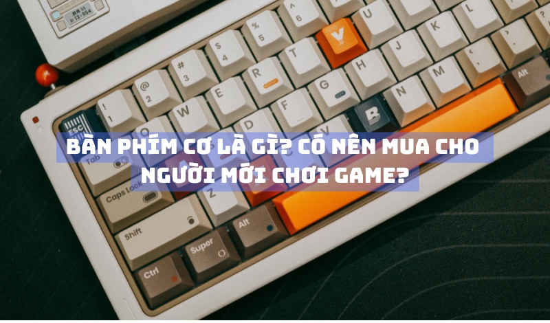 Bàn phím cơ là gì? Có nên mua cho người mới chơi game? 2 Bàn phím cơ là gì? Có nên mua cho người mới chơi game?